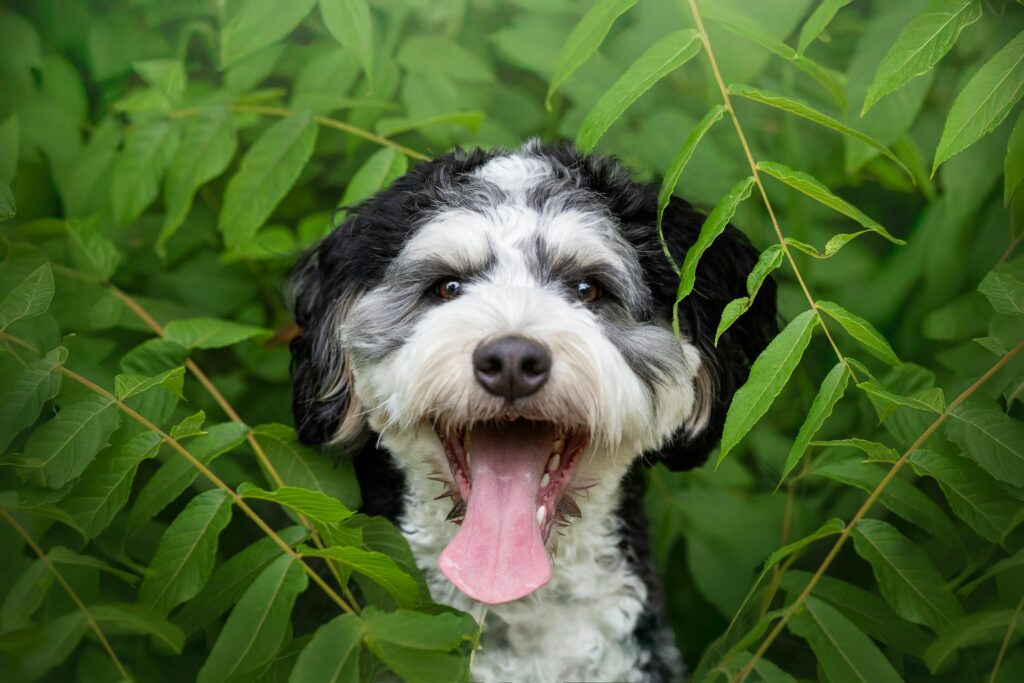 rebecca-lehtinen-viSQ7bEuSEk-unsplash