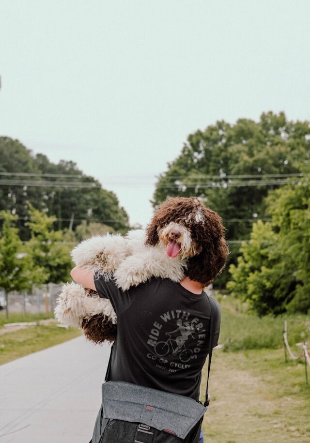 janelle-hiroshige-4lx94PHfPD4-unsplash