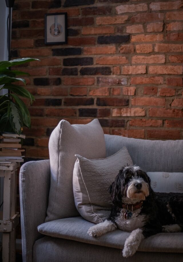 liz-morgan-uwaoWSkvYYk-unsplash